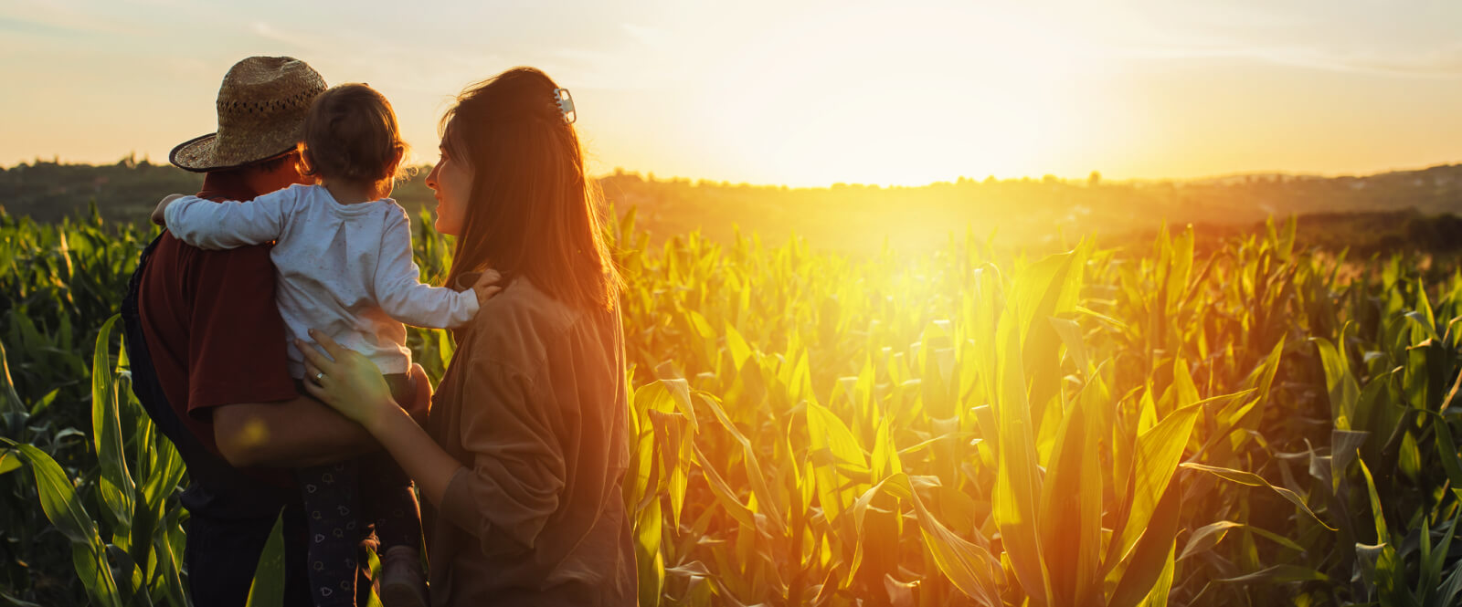 Young family in a crop field