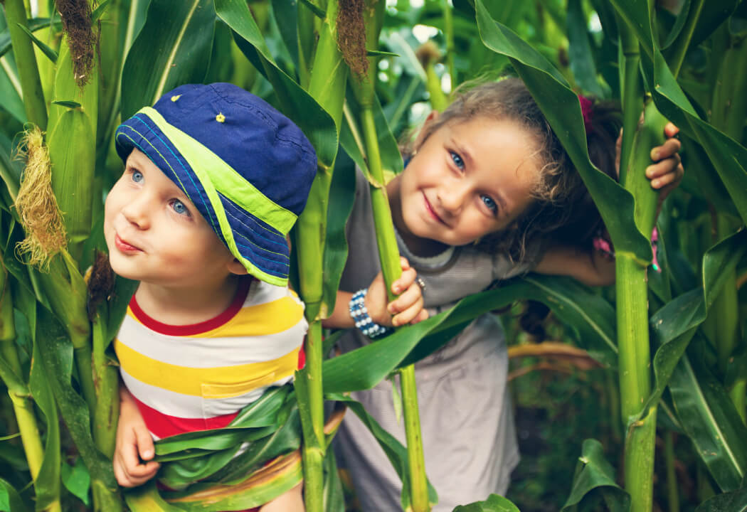 Young kids posing behind corn stalks